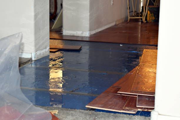 Professional Flood Cleanup technician working in Marstons Mills, MA